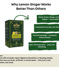 Lemon Ginger Tea for Digestion | 20 Pyramid Bags - The Mantra Online