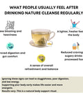 Nature’s Cleanse Tea for Gut Balance | 20 Pyramid Bags - The Mantra Online