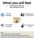 Stress Relief Tea – Ancient Calm | 20 Pyramid Bags - The Mantra Online